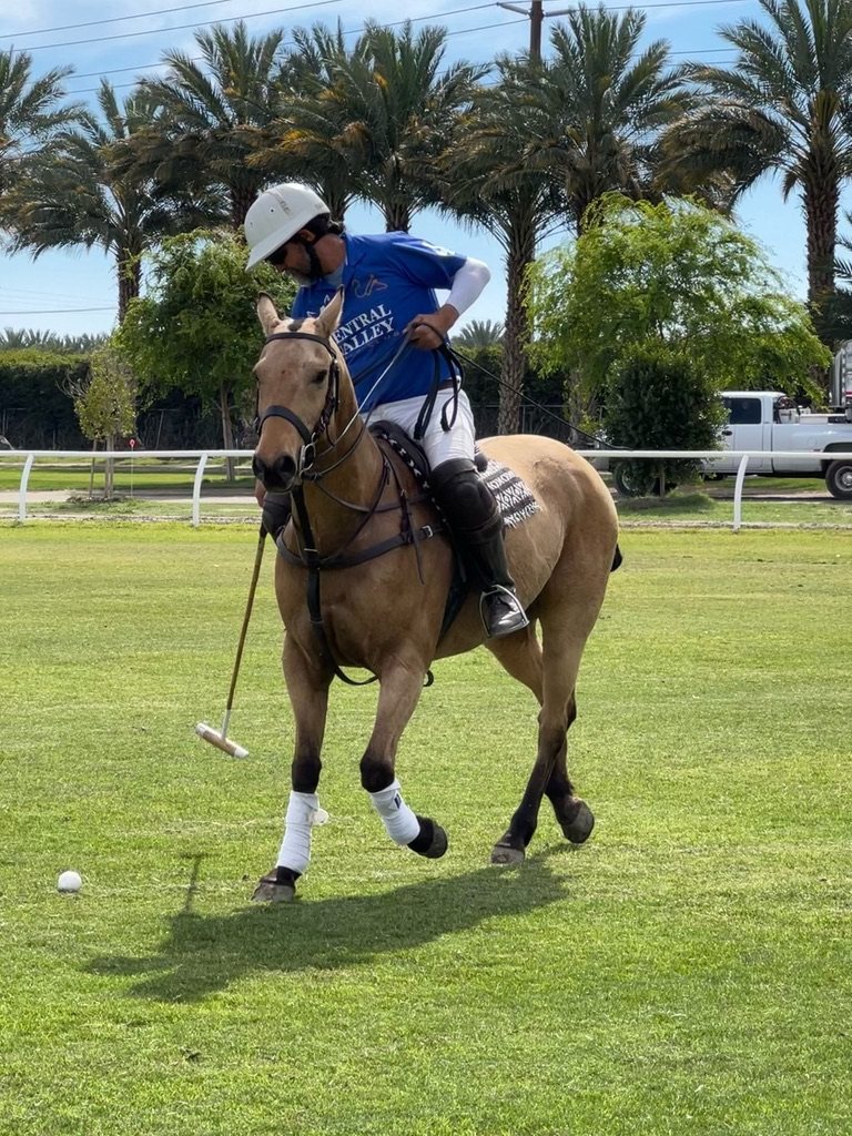 Daniel Fernández lines up a swing on his horse Spirit, palm trees behind.