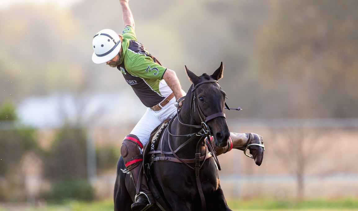 Daniel Fernández at the top of a polo swing, standing in the stirrups on a black horse.